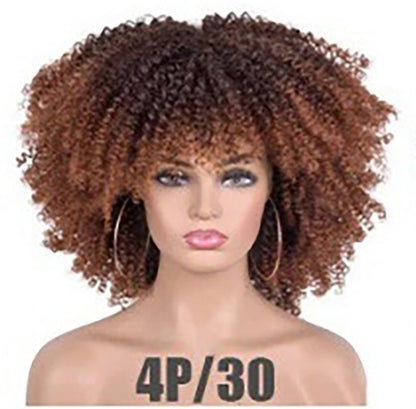 Female Hair African Small Curly Hair Explosion Head Black Chemical Fiber Wig Full Head Set